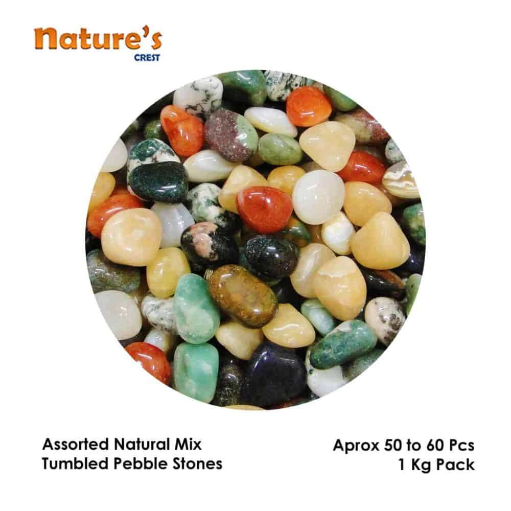 Nature's Crest - Assorted Mix Tumbled Pebble Stones - Assorted Mix Tumble Vector 1 Kg