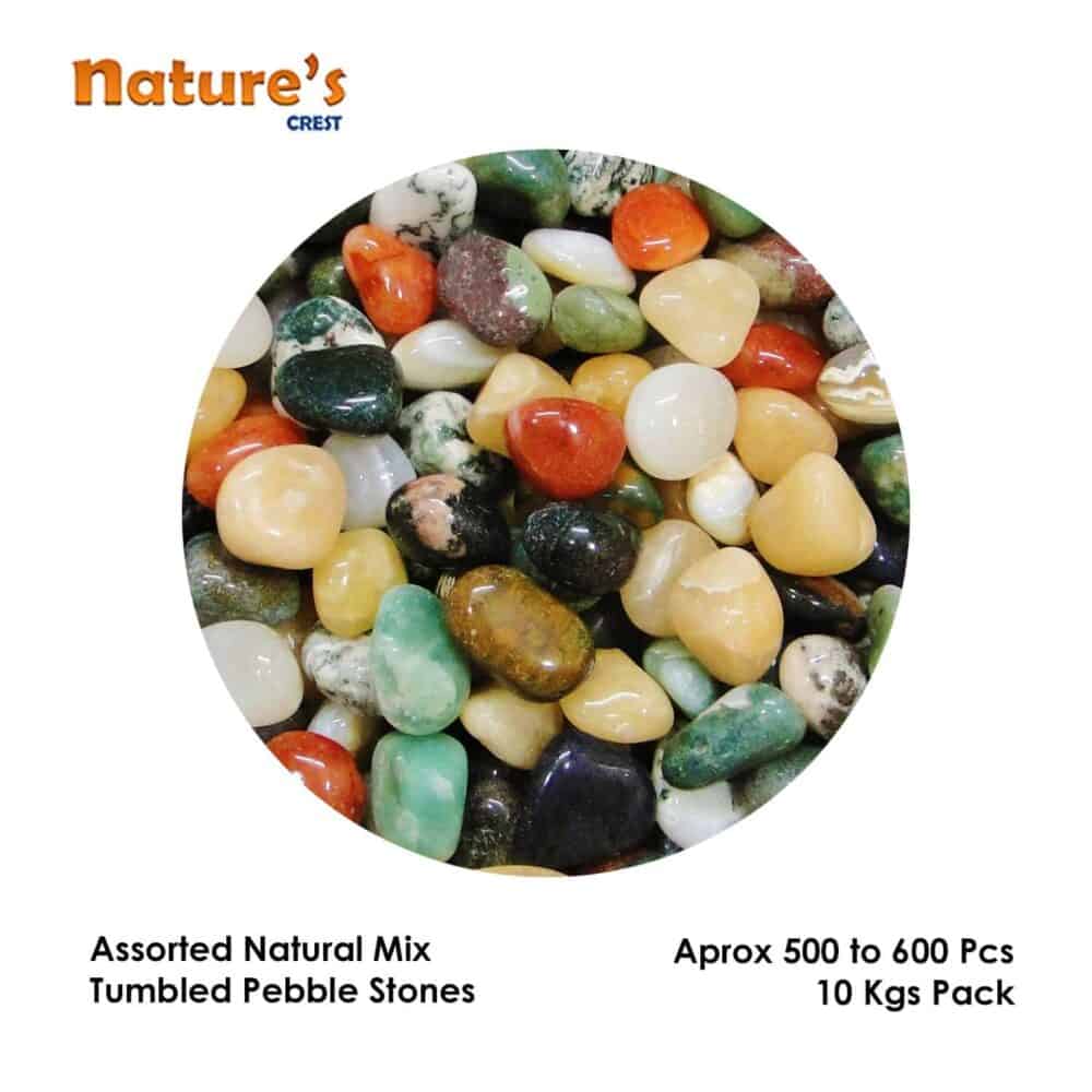 Nature's Crest - Assorted Mix Tumbled Pebble Stones - Assorted Mix Tumble Vector 10 Kgs