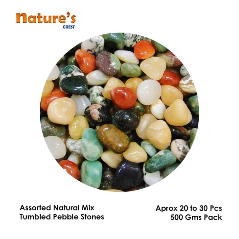 Nature's Crest - Assorted Mix Tumbled Pebble Stones - Assorted Mix Tumble Vector 500 gms