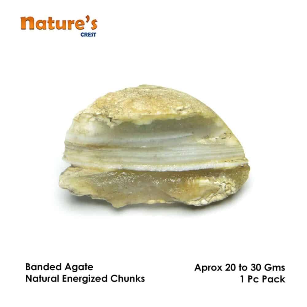 Nature's Crest - Banded Agate Natural Raw Rough Chunks - Banded Agate 1 Pc Vector 20 30 Gms