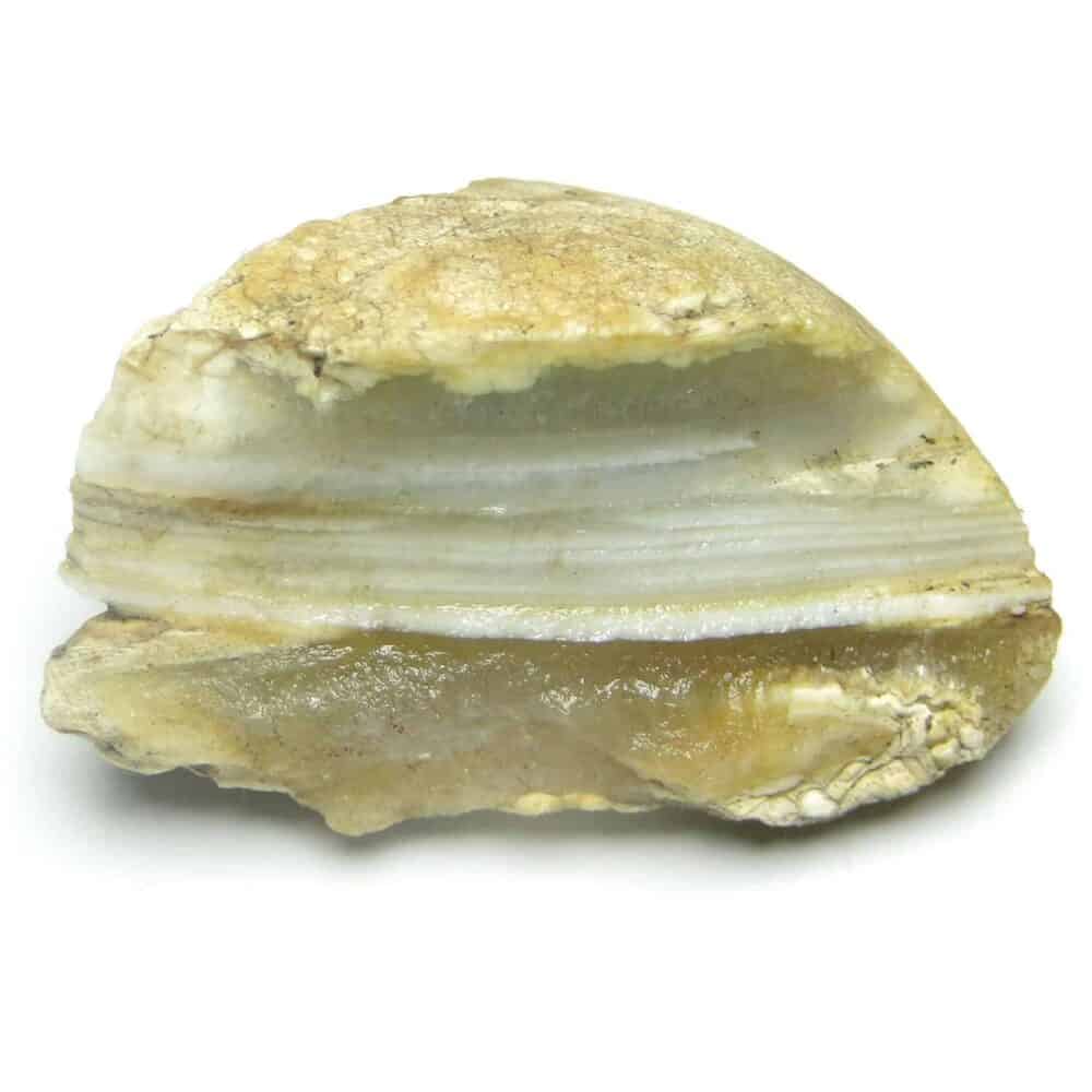 Nature's Crest - Banded Agate Natural Raw Rough Chunks - Banded Agate Rough Single