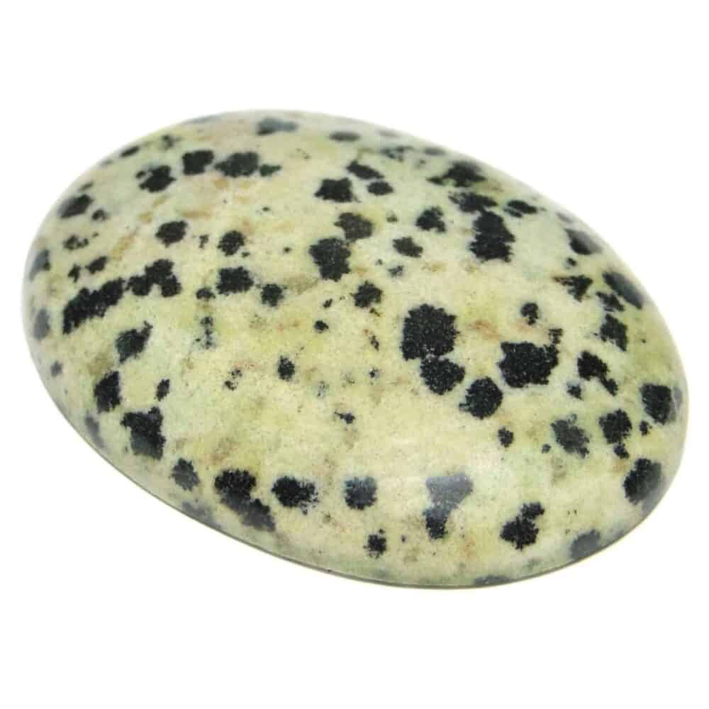 Nature's Crest - Dalmatian Jasper "AA" Oval Cabochon - Dalmatian Jasper Cabochon