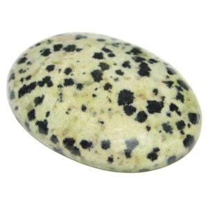 Dalmatian Jasper "AA" Oval Cabochon