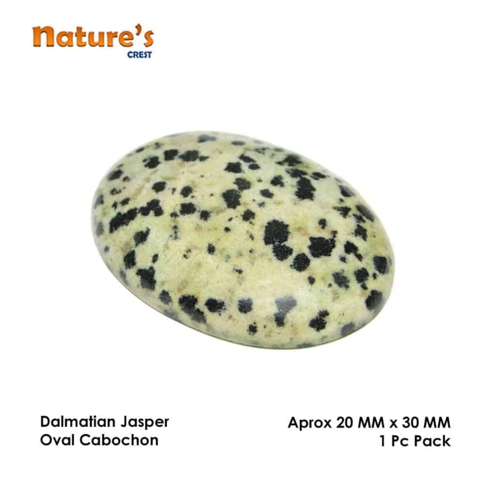 Nature's Crest - Dalmatian Jasper "AA" Oval Cabochon - Dalmatian Jasper Cabochon Vector