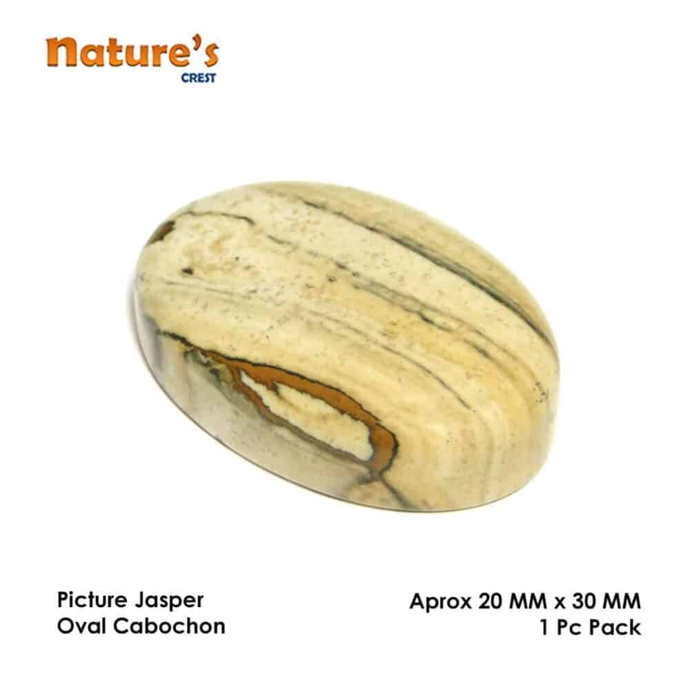 Picture Jasper Oval Cabochon - Image 3