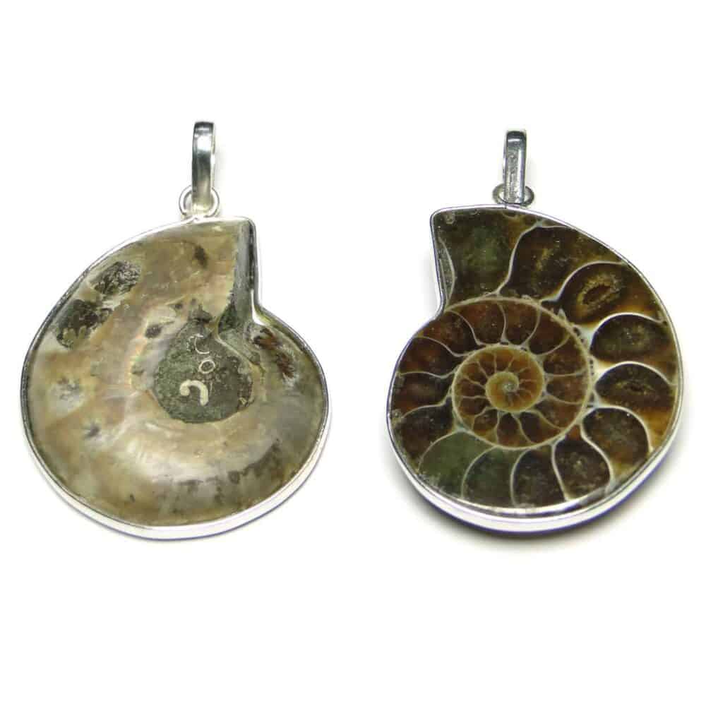 Nature's Crest - Ammonite Pendant - Ammonite Pendant Front Back