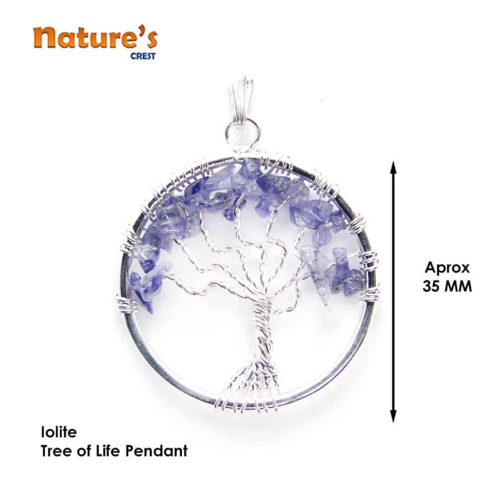 Nature's Crest - Iolite Tree of Life Pendant - Iolite Tree of Life Pendants Vector