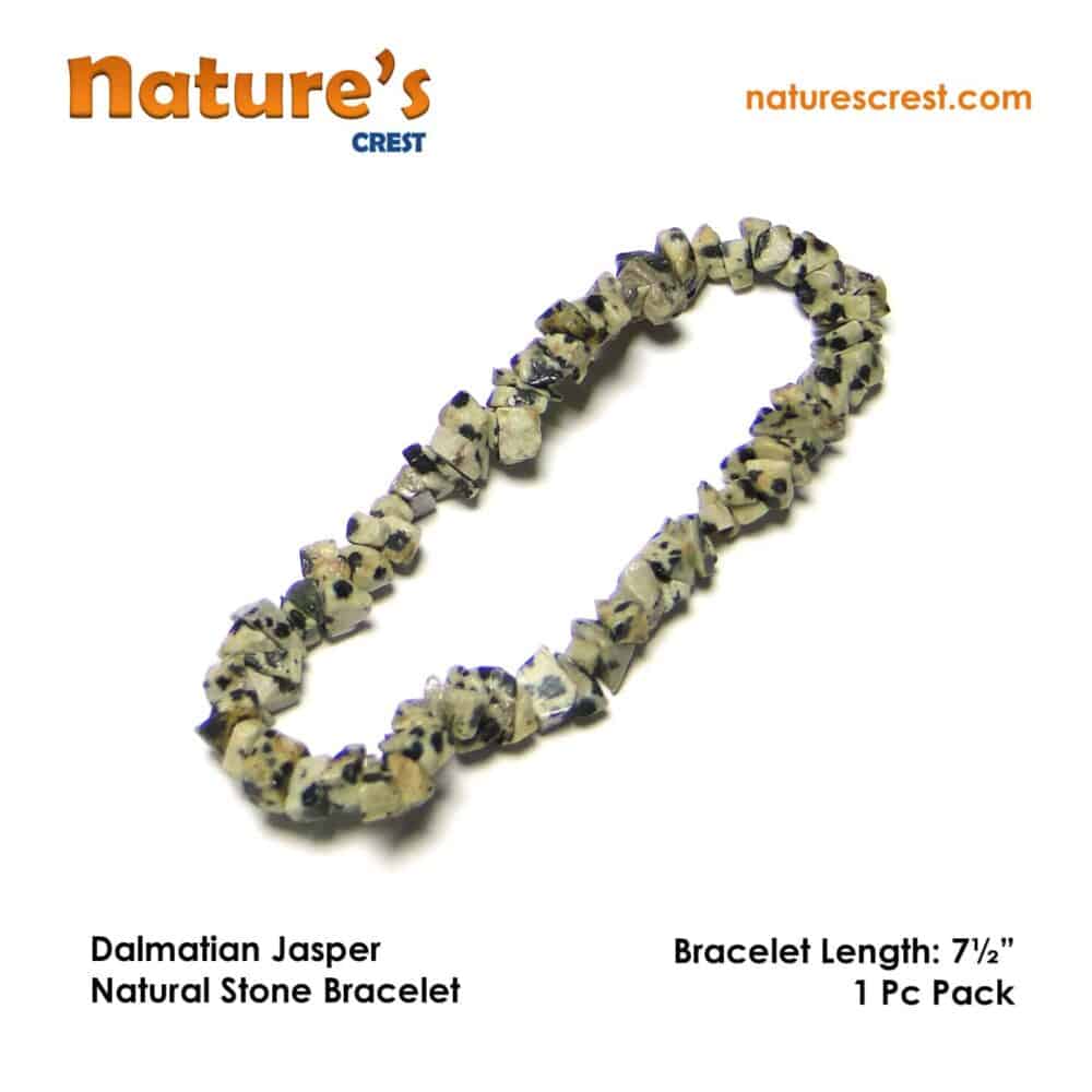 Nature's Crest - Dalmatian Jasper Chip Beads - Dalmatian Jasper Natural Stone Bracelet Vector