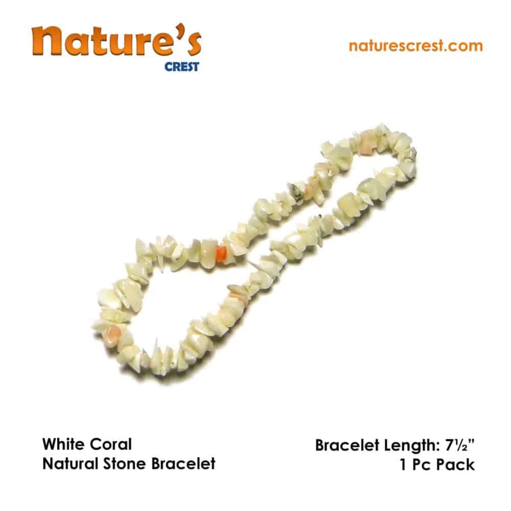 Nature's Crest - White Coral Chip Beads - White Coral Natural Stone Bracelet Vector