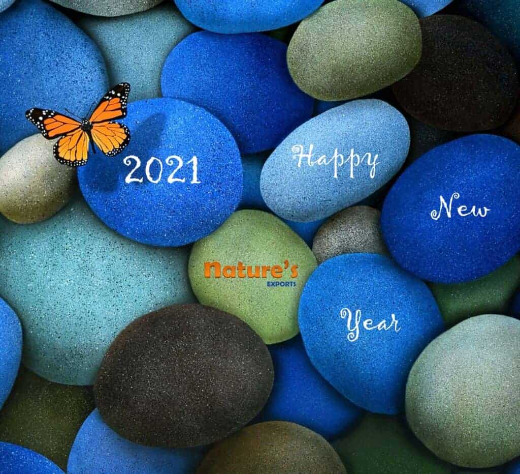 Nature's Crest - Happy New Year 2021 - Happy New Year 2021 NE