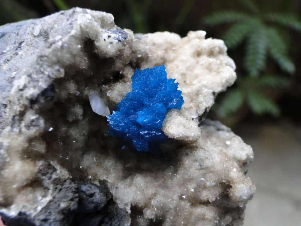 Cavansite Crystal on Heulandite Matrix