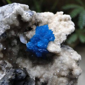 Cavansite Crystal on Heulandite Matrix