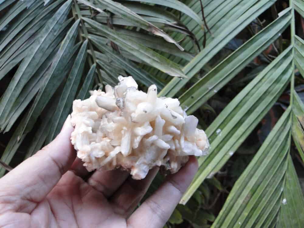 Stilbite Bow Crystals Cluster