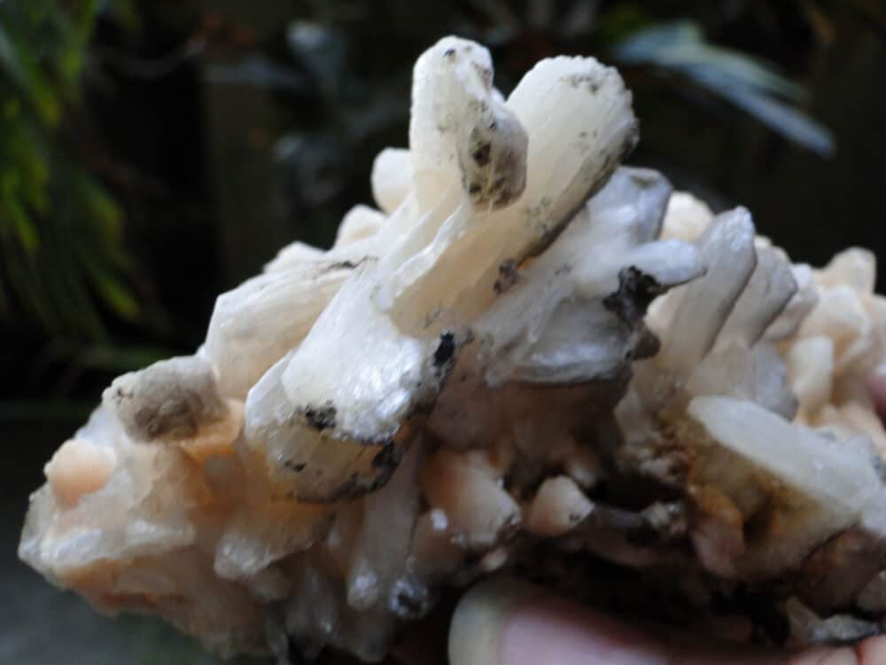 Nature's Crest - Stilbite Bow Crystals Cluster - Stilbite Bow 10