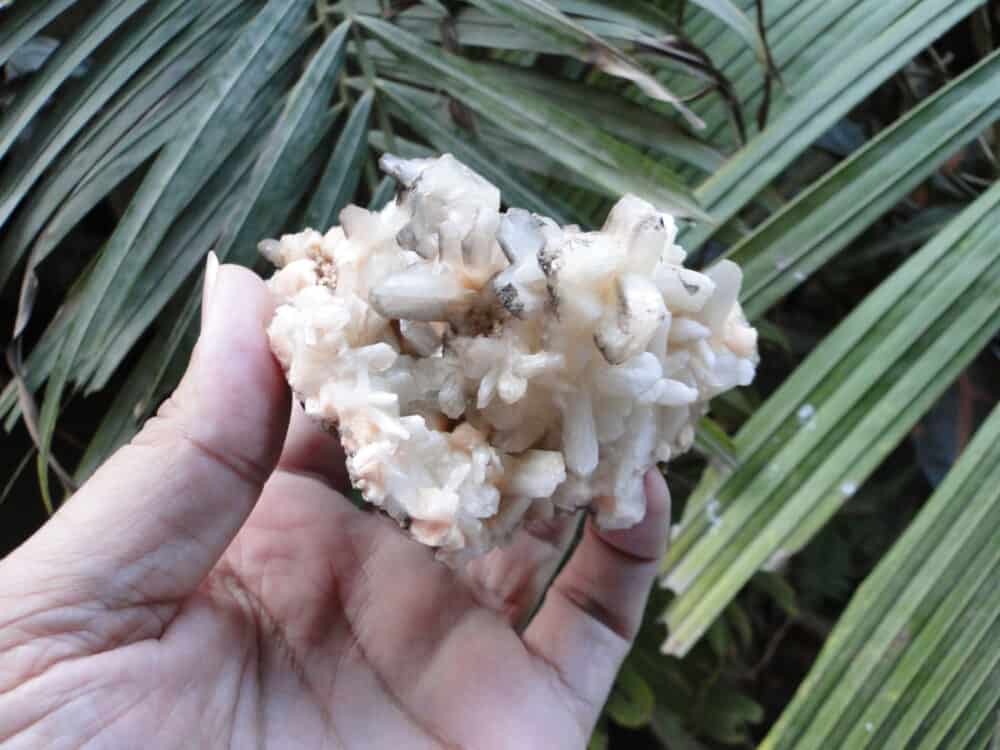 Stilbite Bow Crystals Cluster - Image 2