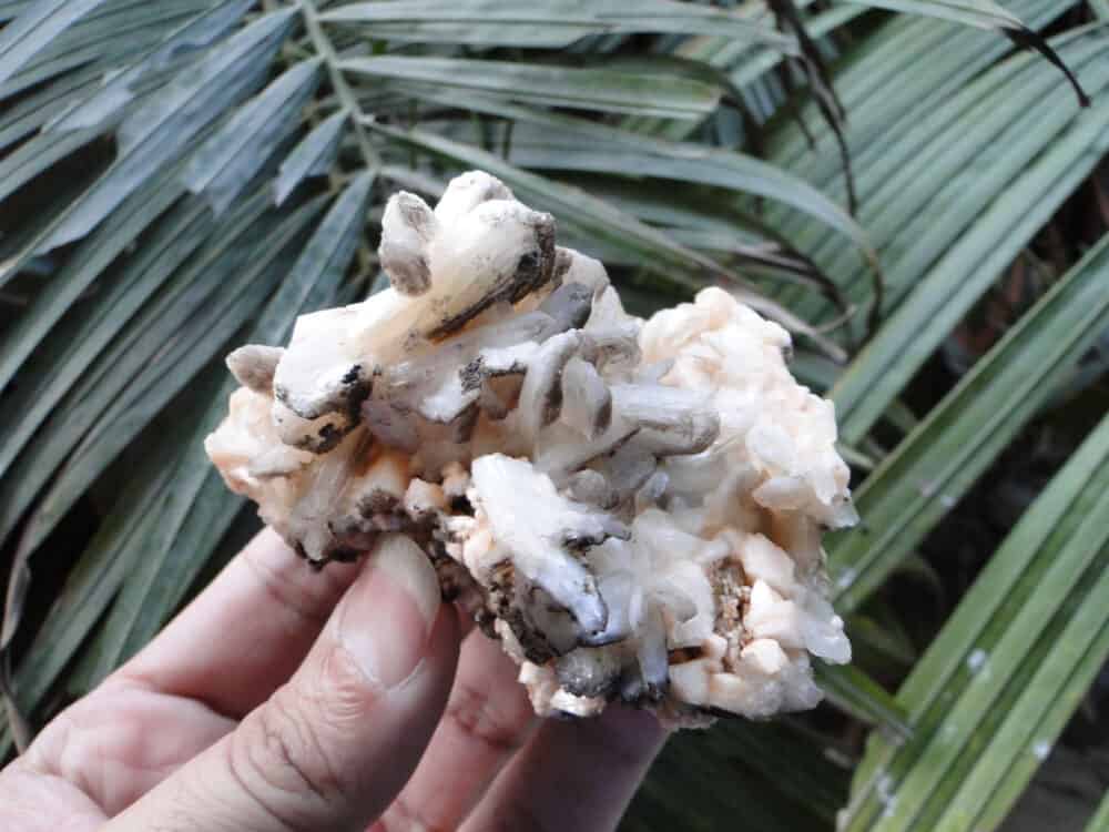 Stilbite Bow Crystals Cluster - Image 10