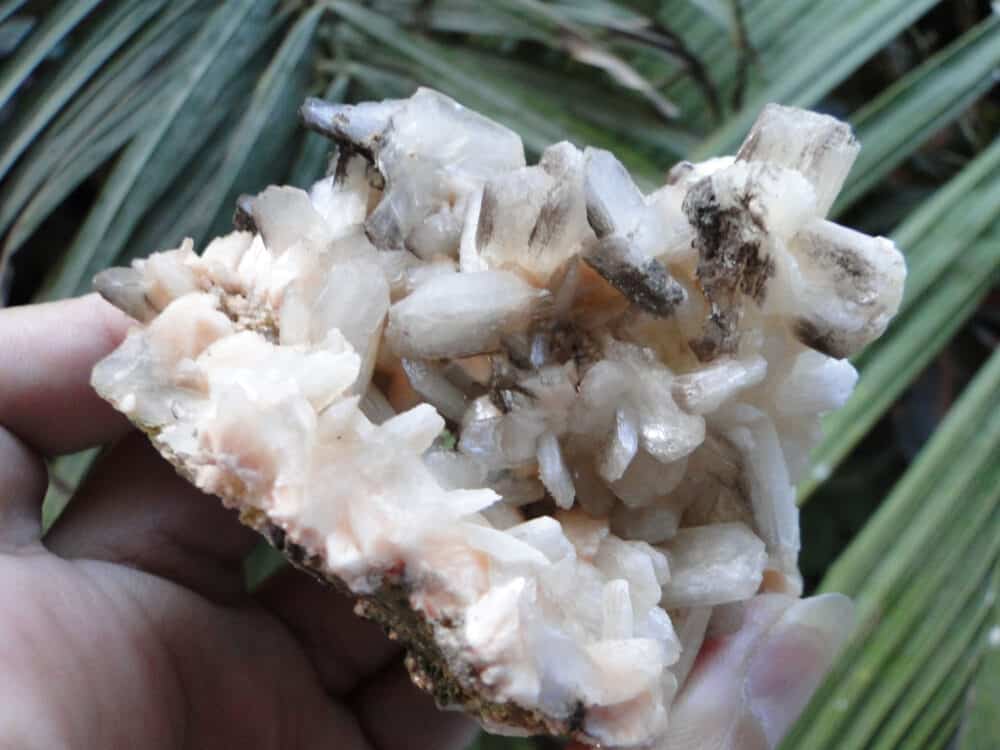 Stilbite Bow Crystals Cluster - Image 8