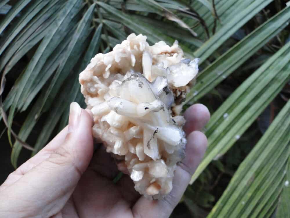 Stilbite Bow Crystals Cluster - Image 7
