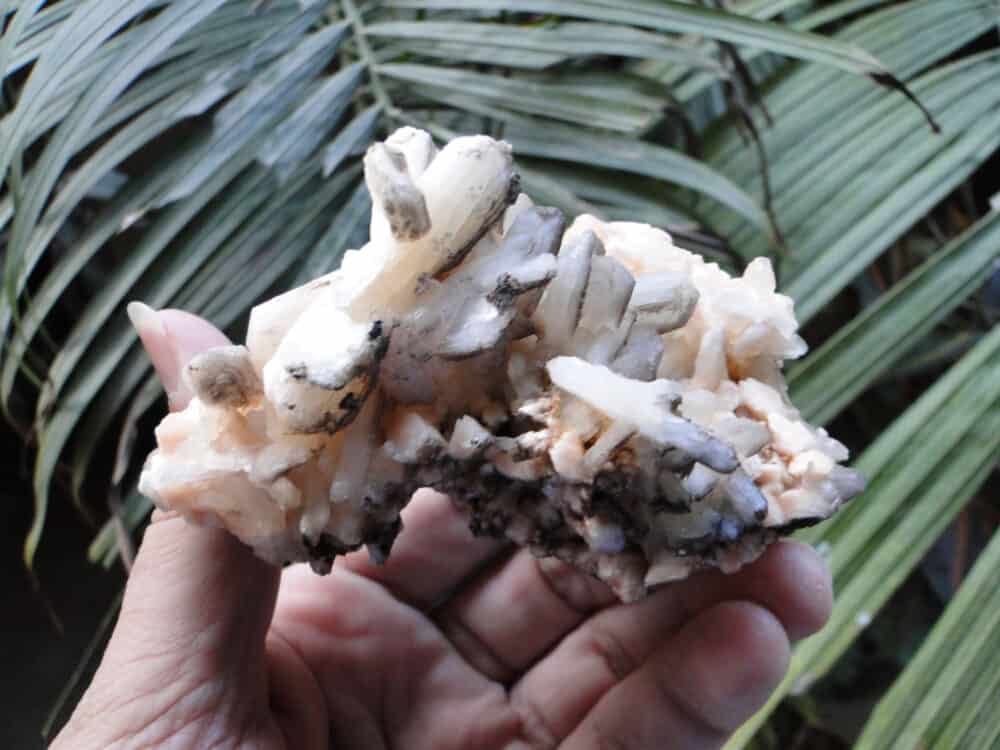 Stilbite Bow Crystals Cluster - Image 6