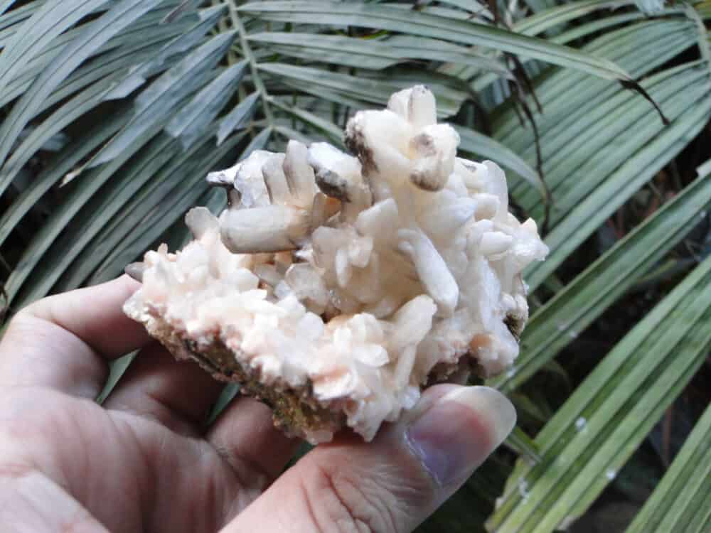 Nature's Crest - Stilbite Bow Crystals Cluster - Stilbite Bow 8