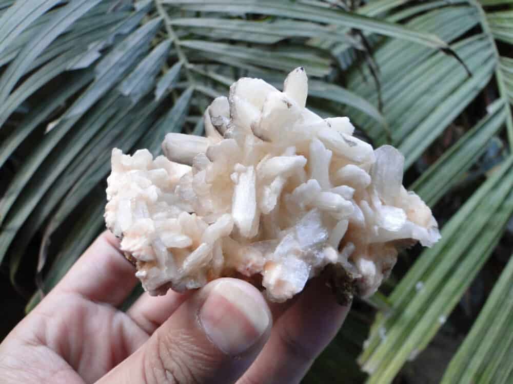 Stilbite Bow Crystals Cluster - Image 4