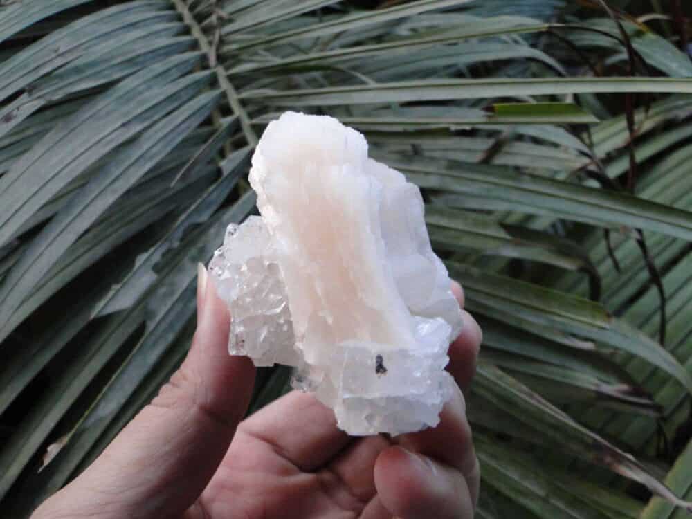 Stilbite on Apophyllite Cluster - Image 4