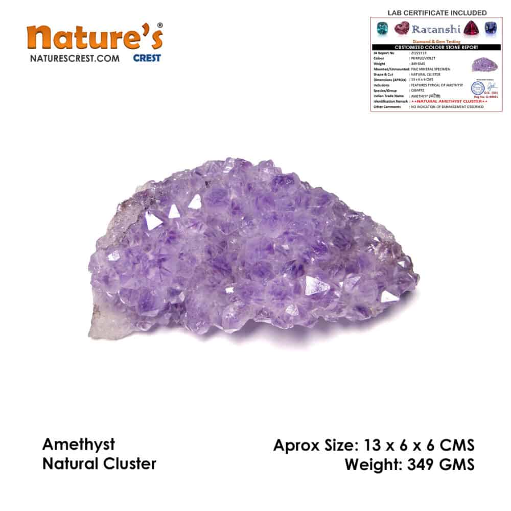 Nature's Crest - Amethyst Natural Cluster (349 gms) - Amethyst Cluster Vector 349 gms
