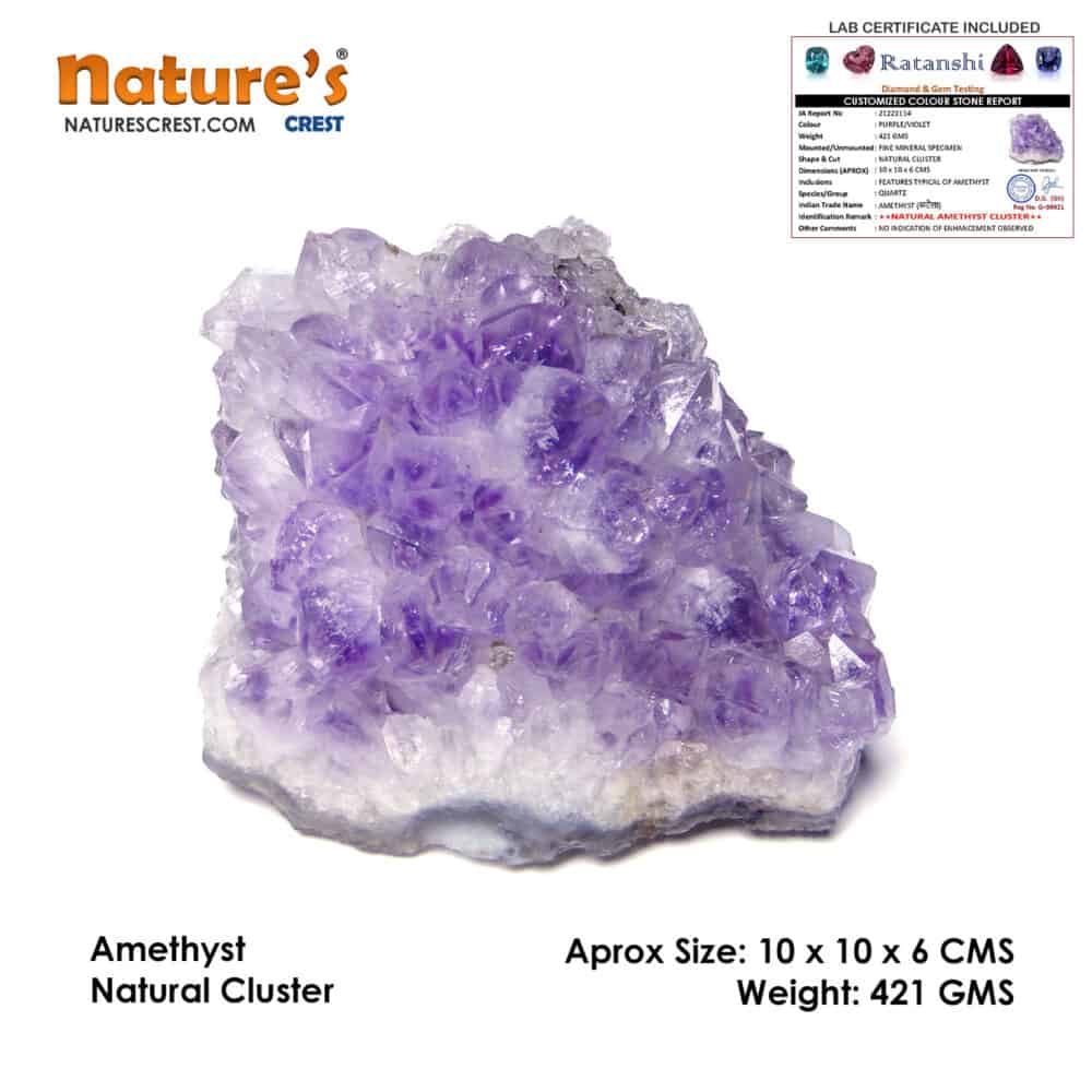 Nature's Crest - Amethyst Natural Cluster (421 gms) - Amethyst Cluster Vector 421 gms