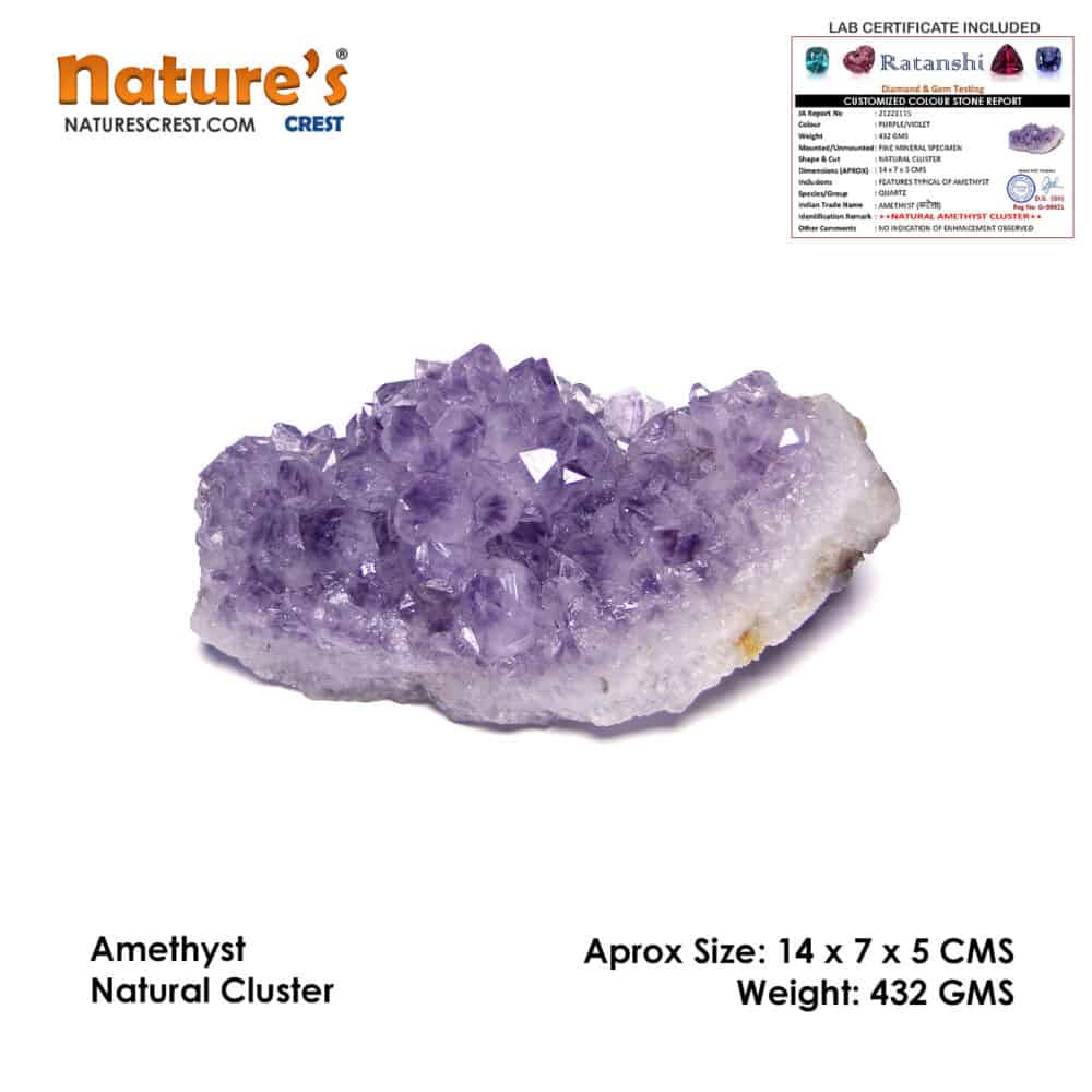 Nature's Crest - Amethyst Natural Cluster (432 gms) - Amethyst Cluster Vector 432 gms