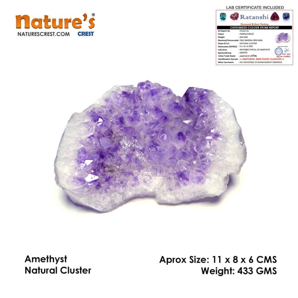 Nature's Crest - Amethyst Natural Cluster (433 gms) - Amethyst Cluster Vector 433 gms