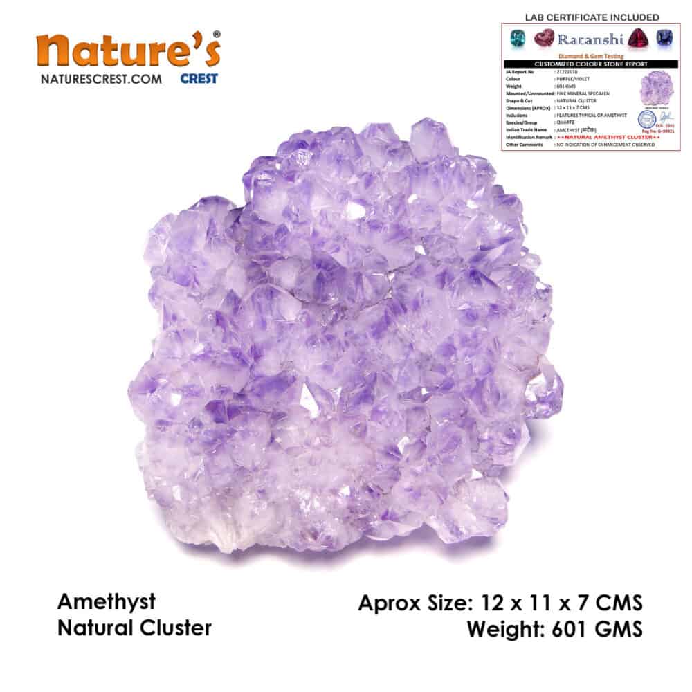 Nature's Crest - Amethyst Natural Cluster (601 gms) - Amethyst Cluster Vector 601 gms